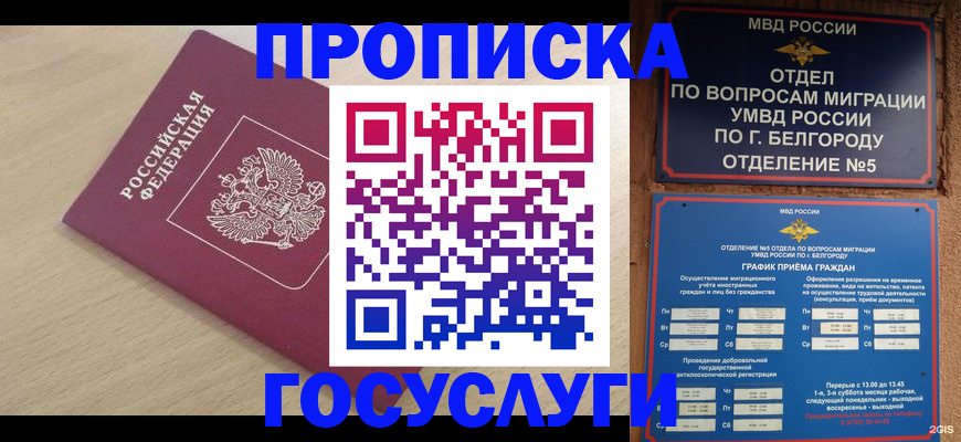 прописка законно в Кеми
